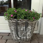 Het Schaapje Bed and breakfast