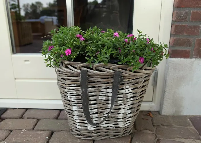 Het Schaapje Bed and breakfast