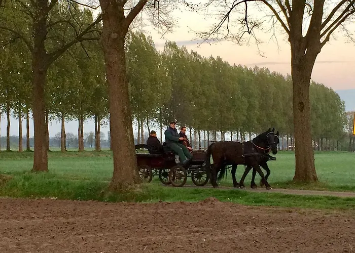 Bed and breakfast Het Schaapje